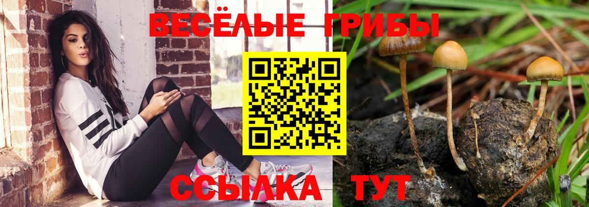 Галлюциногенные грибы Magic Shrooms  Вход с VPN  Донецк 